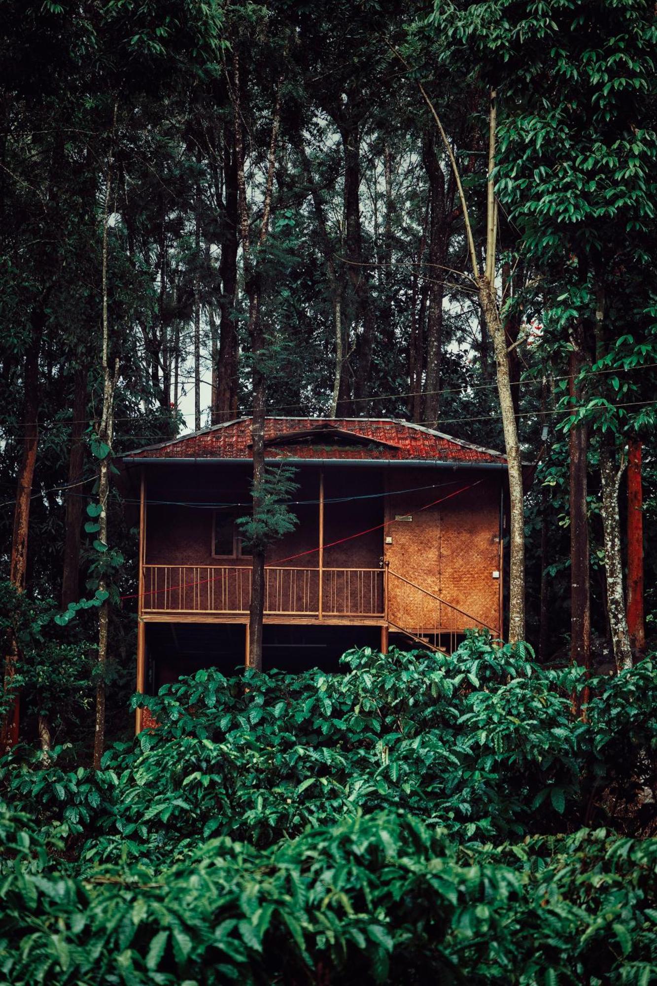 Mahout Resort Wayanad - An Experiential Jungle Stay With Waterfall Kalpatta Eksteriør bilde
