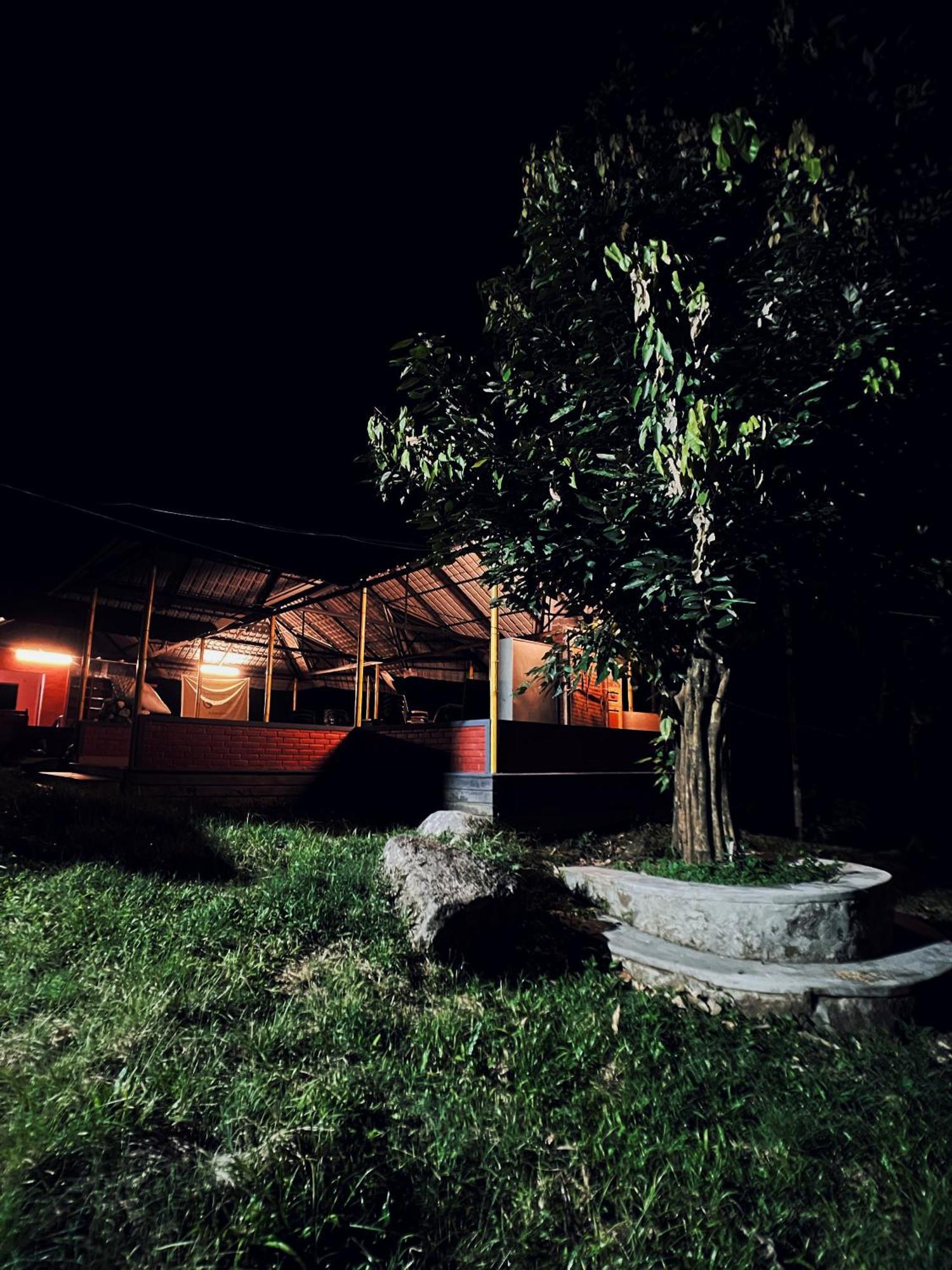 Mahout Resort Wayanad - An Experiential Jungle Stay With Waterfall Kalpatta Eksteriør bilde
