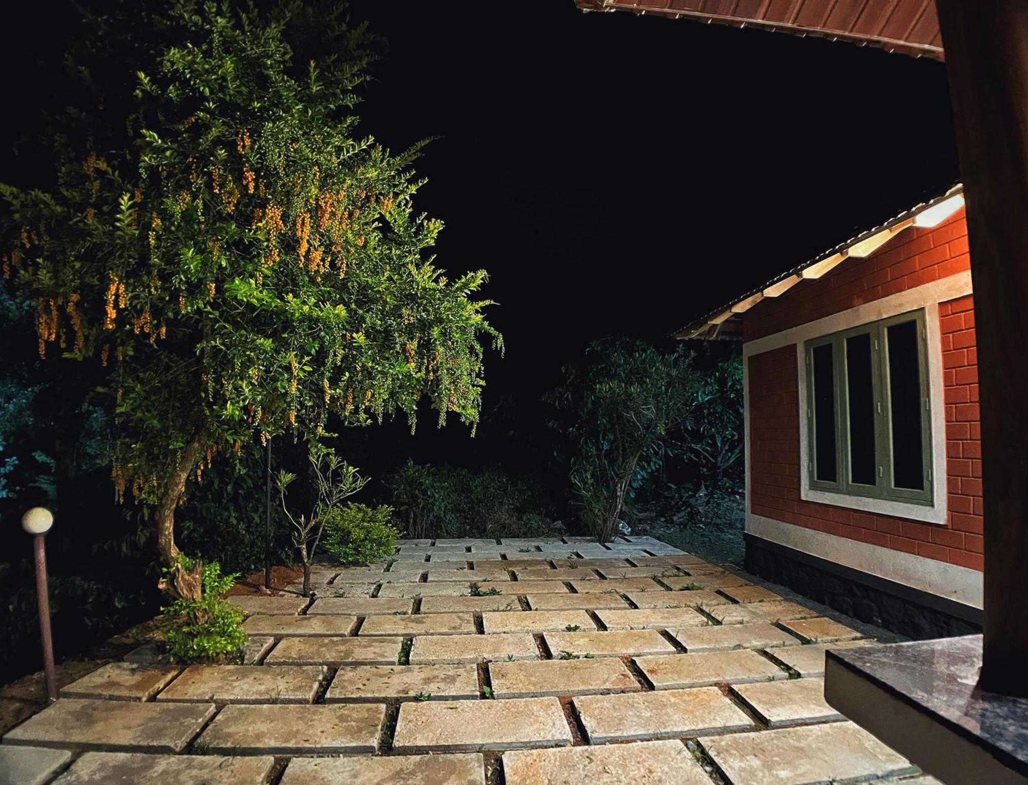 Mahout Resort Wayanad - An Experiential Jungle Stay With Waterfall Kalpatta Eksteriør bilde