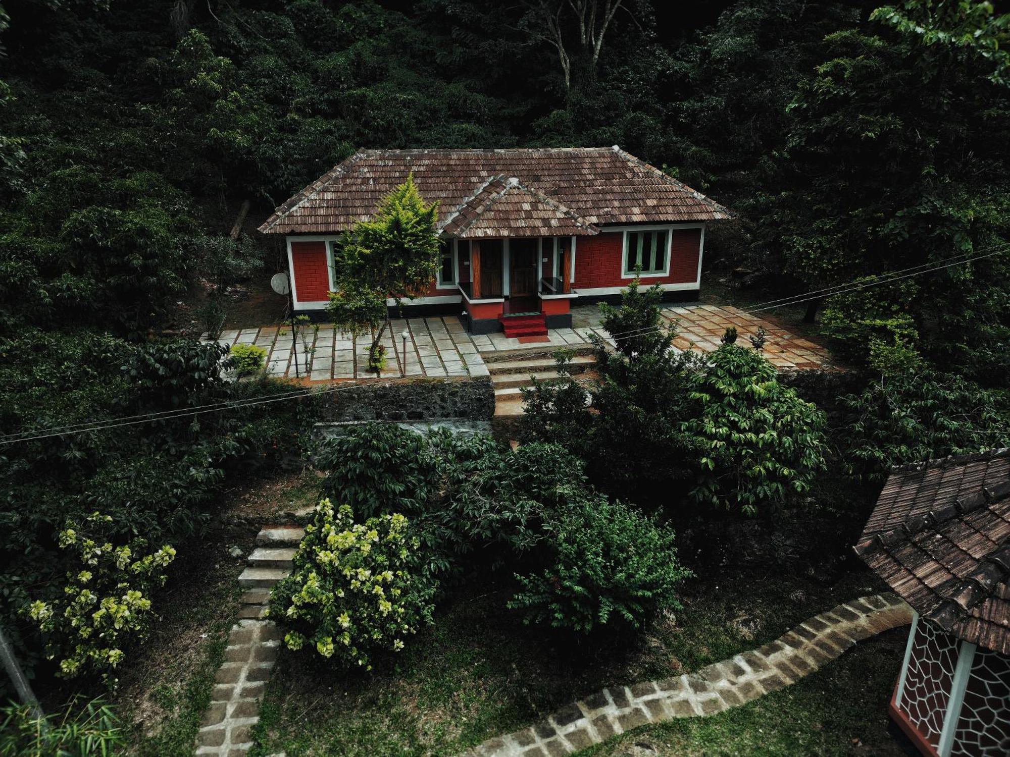 Mahout Resort Wayanad - An Experiential Jungle Stay With Waterfall Kalpatta Eksteriør bilde