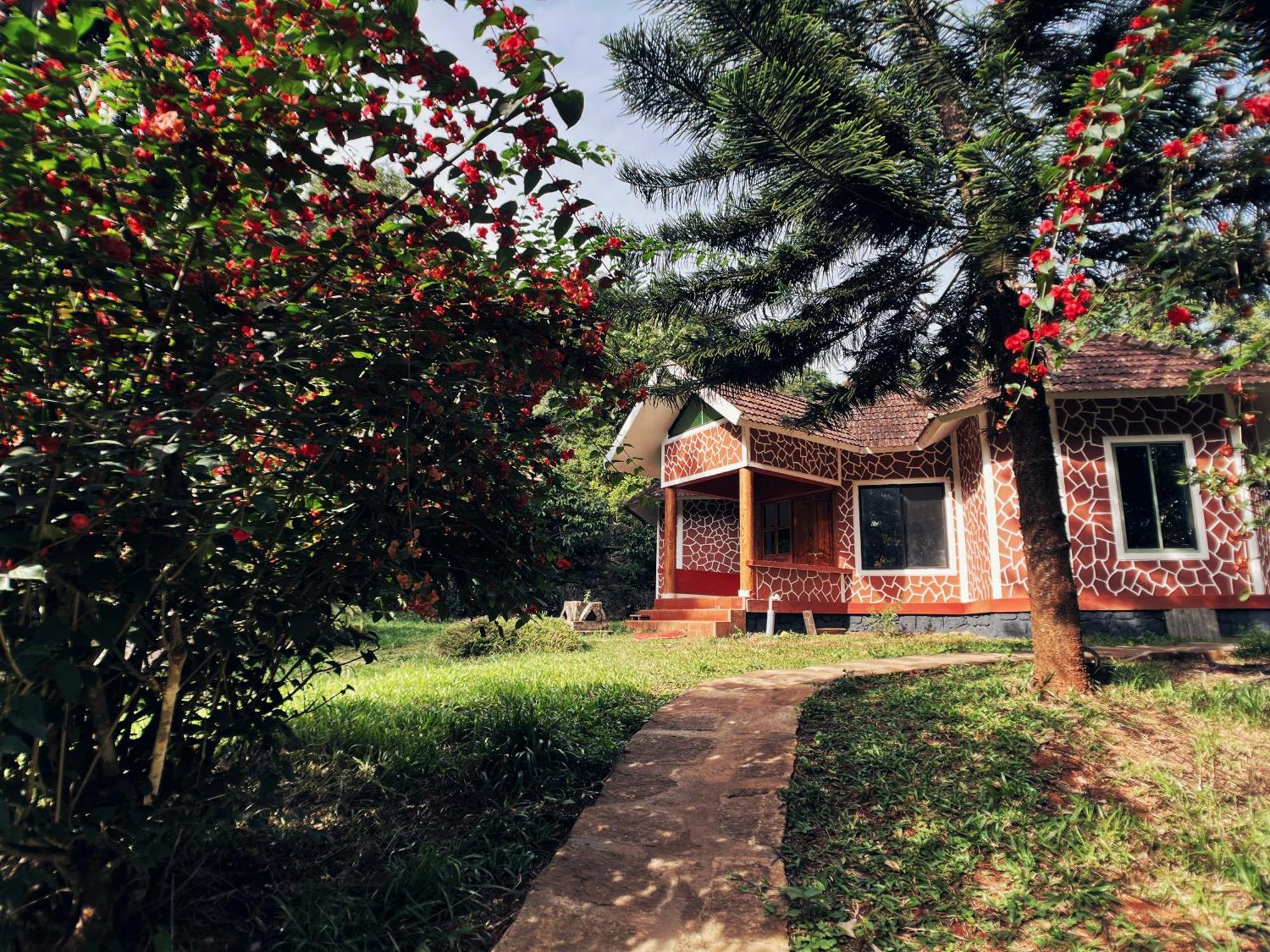 Mahout Resort Wayanad - An Experiential Jungle Stay With Waterfall Kalpatta Eksteriør bilde