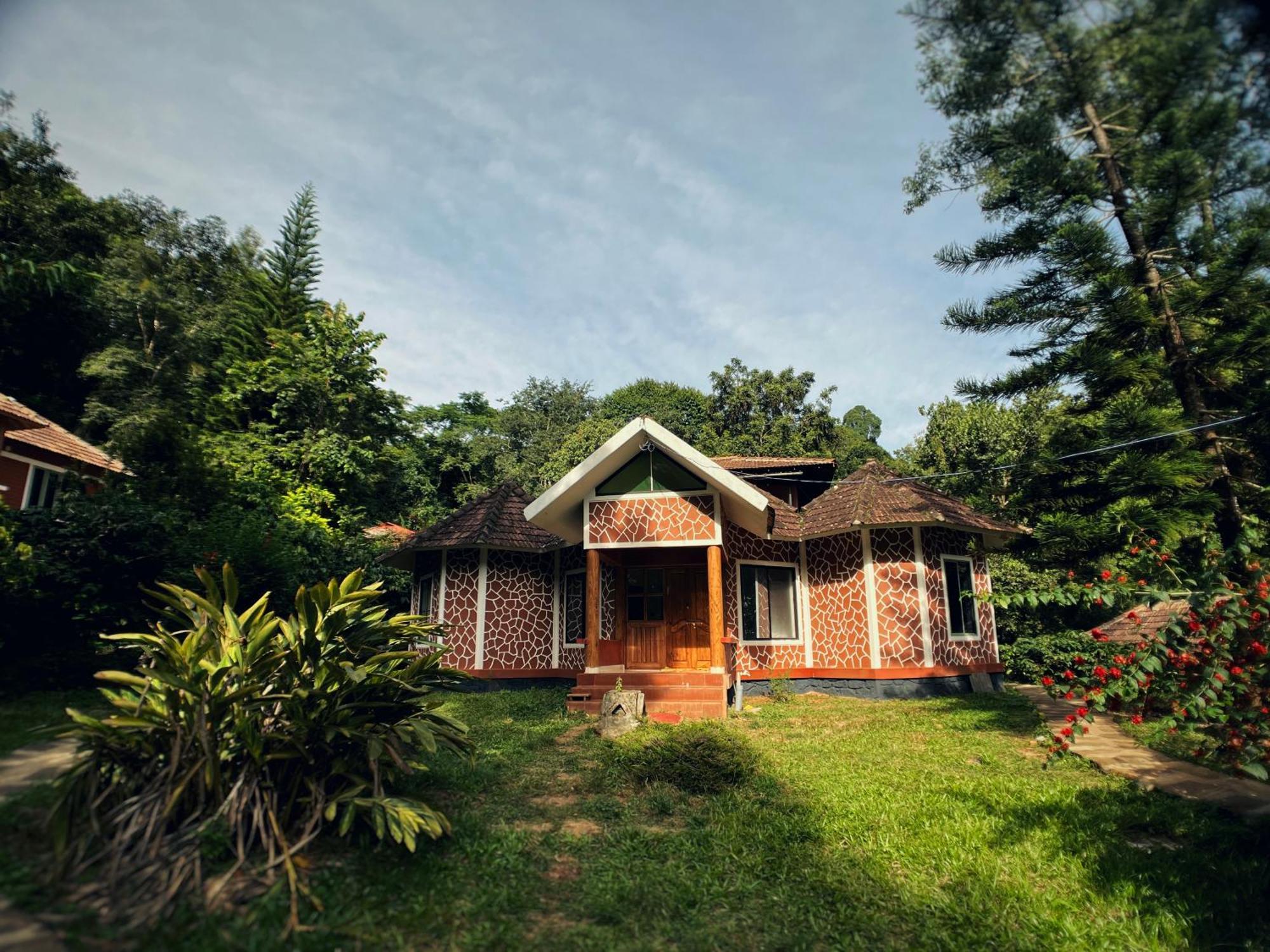 Mahout Resort Wayanad - An Experiential Jungle Stay With Waterfall Kalpatta Eksteriør bilde