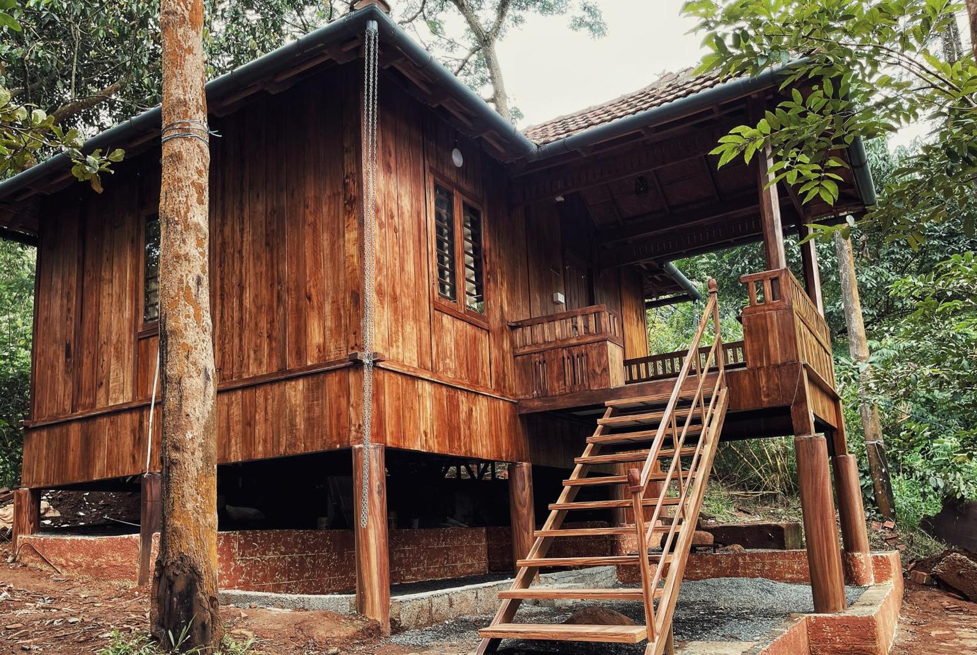 Mahout Resort Wayanad - An Experiential Jungle Stay With Waterfall Kalpatta Eksteriør bilde