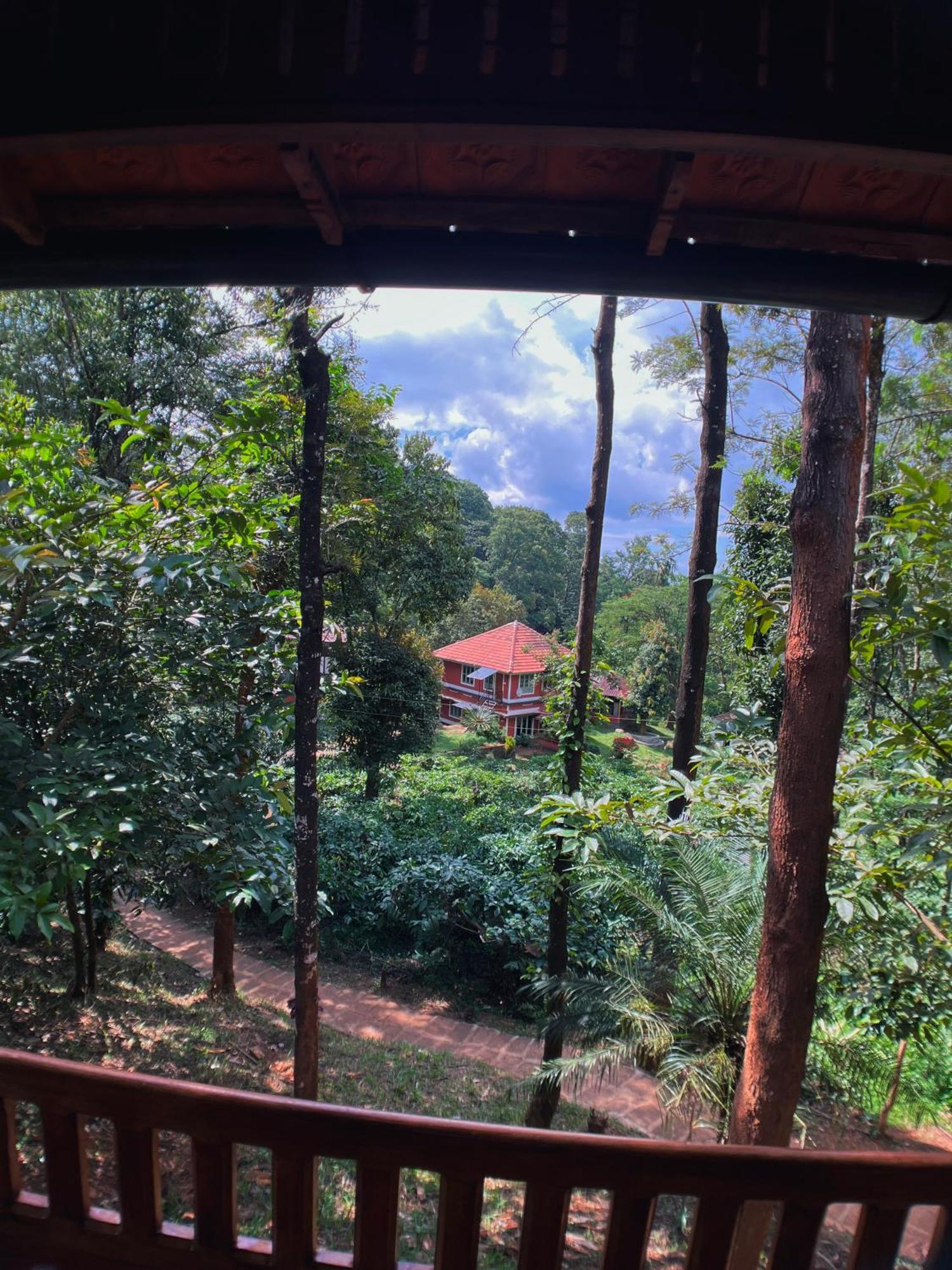Mahout Resort Wayanad - An Experiential Jungle Stay With Waterfall Kalpatta Eksteriør bilde