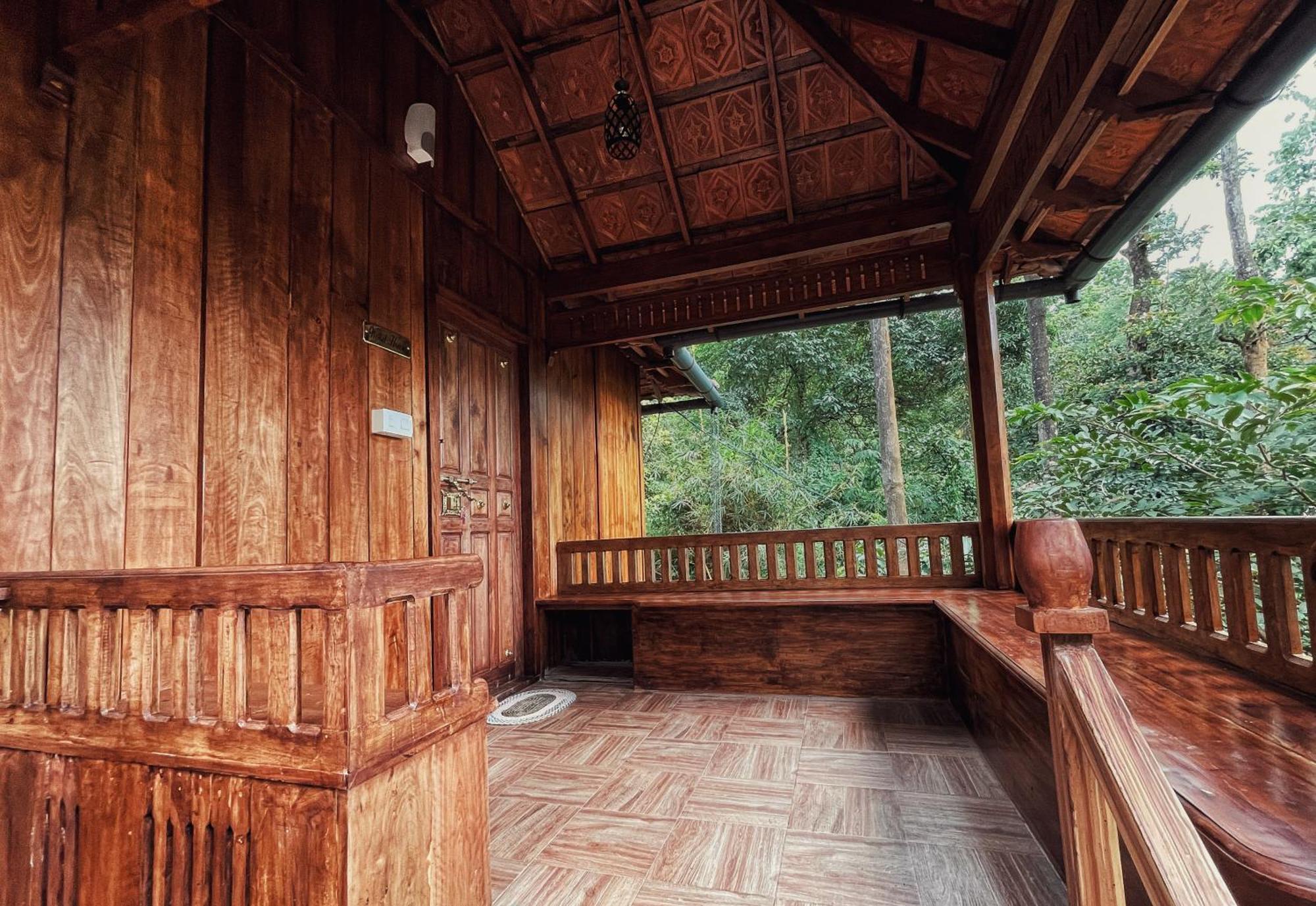 Mahout Resort Wayanad - An Experiential Jungle Stay With Waterfall Kalpatta Eksteriør bilde