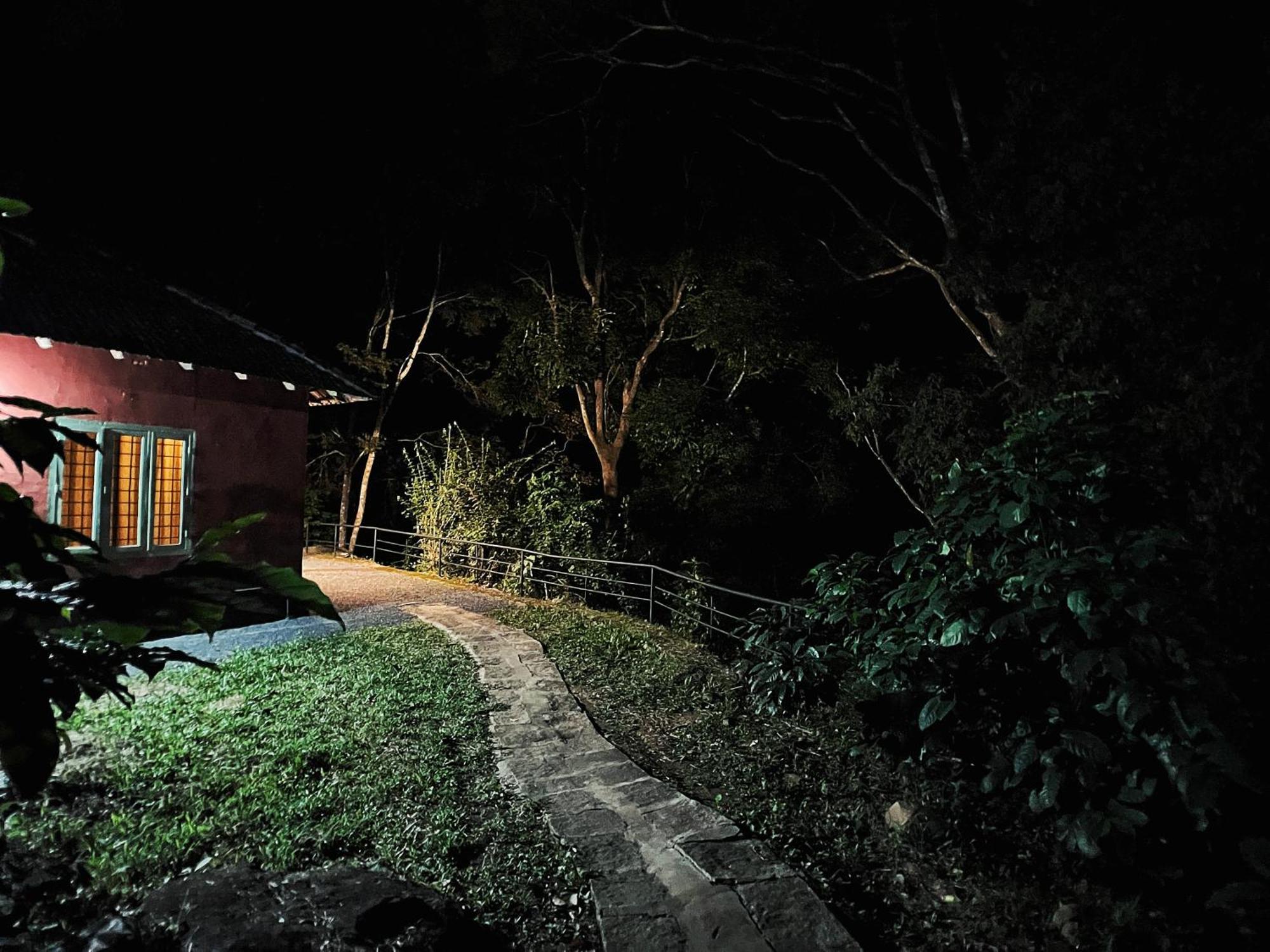 Mahout Resort Wayanad - An Experiential Jungle Stay With Waterfall Kalpatta Eksteriør bilde
