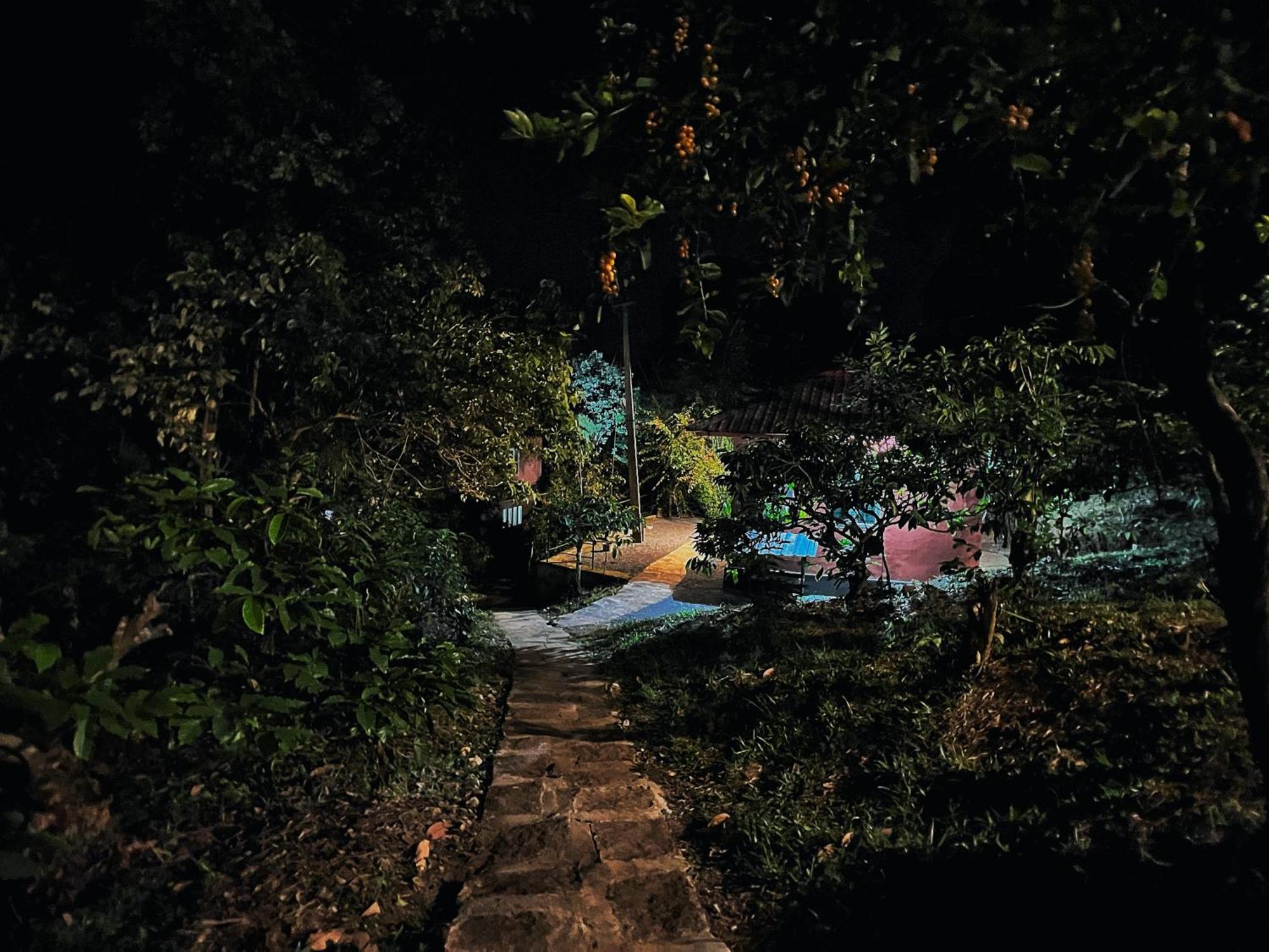 Mahout Resort Wayanad - An Experiential Jungle Stay With Waterfall Kalpatta Eksteriør bilde